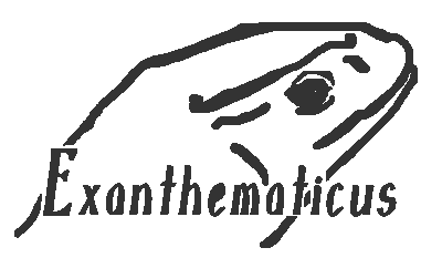 copright exanthematicus.com